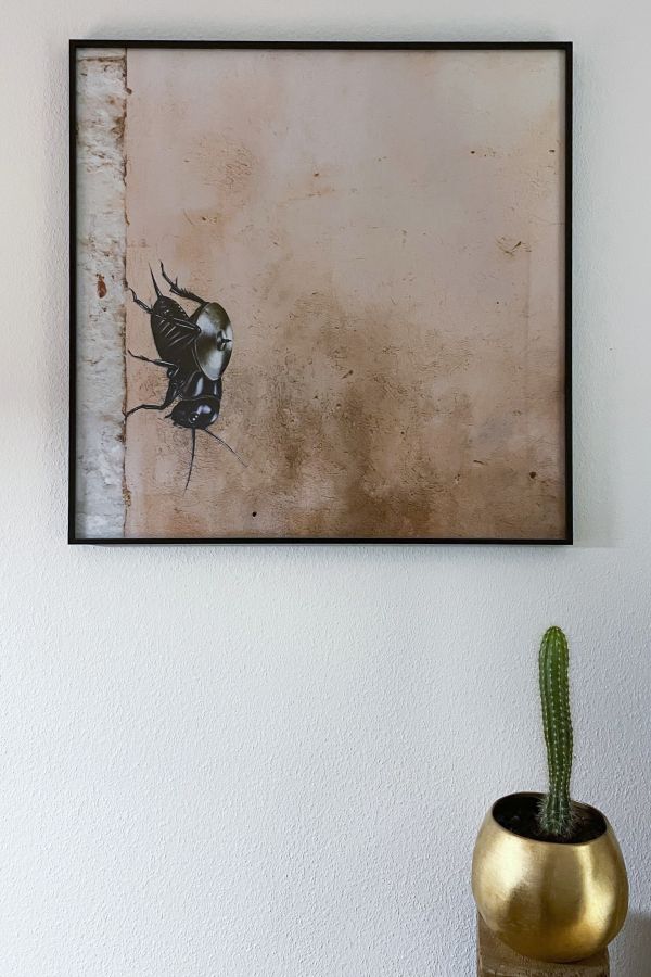 Ein Kaktus in einem goldenen Topf und ein Gemälde an der Wand